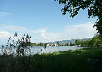 Steinach at the Lake Constance