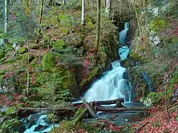 The Savoureuse at Lepuix.