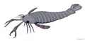 Jaekelopterus