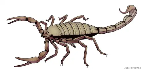 The gigantic Pulmonoscorpius from the early Carboniferous reached a length of up to 70&nbsp;cm (2&nbsp;ft 4&nbsp;in).