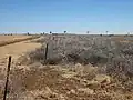 Mass of Salsola tumbleweeds caught behind a fence