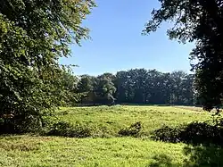Quintusbos (municipality of Groningen)