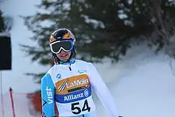 skier