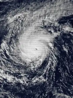 Typhoon Alice on January 7