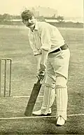 Cricket