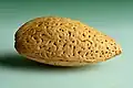 Almond shell