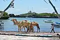 In Watamu