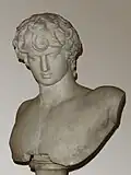 Bust of the Emperor Hadrian's beloved, Antinous