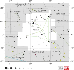 Aquila