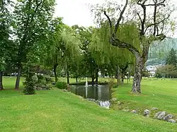 Stream of hot water in a park