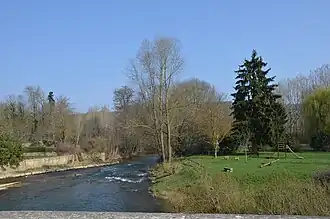 The Armançon river at Cry.