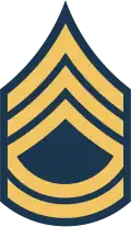 E-7 insignia