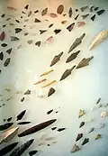 Arrowheads and spearheads as they were common in antiquity