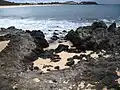 Black volcanic rocks.