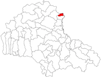 Location in Brașov County