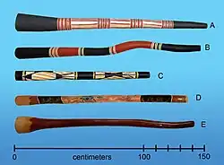Didgeridoo