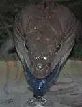 Drinking water