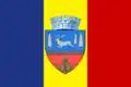 Flag of Bacău