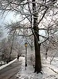 Winter