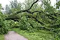 After storm
