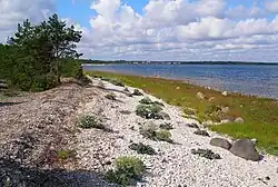 The coast of Suuresadama