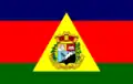 Flag of Caratinga