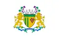 Flag of Caxias do Sul