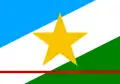 Flag of State of Roraima