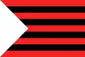 Flag of Ungheni
