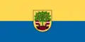 Flag of Valmiera