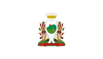 Flag of Monterrey