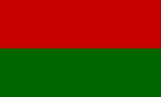 Flag of Bayonne