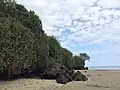 Beach Africa, Mtwapa