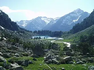 Besiberri in the Catalan Pyrenees