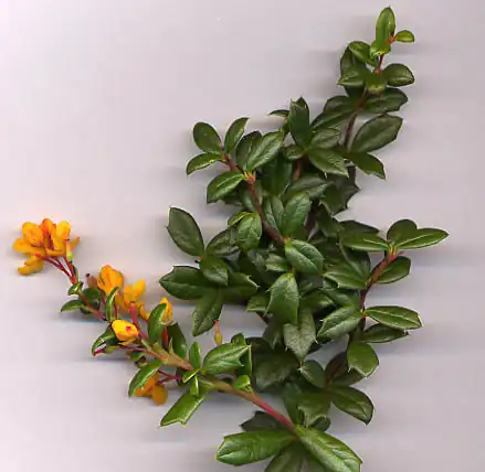240px
\test