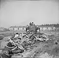 After freeing the camp, British soldiers use bulldozers to push dead bodies into mass graves