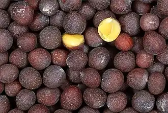 Close-up photo of black mustard seeds (each about 2–3mm in diameter)