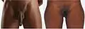 Black man and woman with no pubic hair