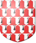 Vairy ermine and gules