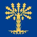 Flag of Blekinge