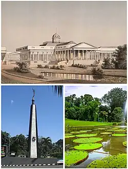 From top: Bogor Palace • From bottom left: 
Kujang Monument, Bogor Botanical Garden