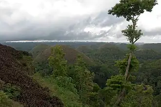Bohol Hills