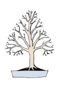 Broom-style