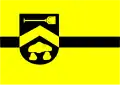 Flag of Borger-Odoorn