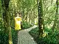 Portugal Woods