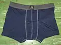 A pair of boxer briefs