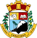 Official seal of Caratinga