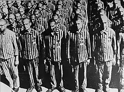 Dutch Jews at Mauthausen wearing a yellow star and the letter N (for Niederländer ).