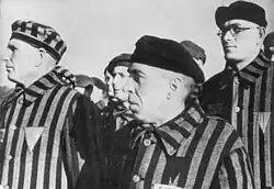 Single-triangle badges in various colors visible on Sachsenhausen concentration camp prisoners