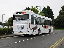 Tiger Line Leyland Tiger with Myllennium Hyline bodywork in 2008